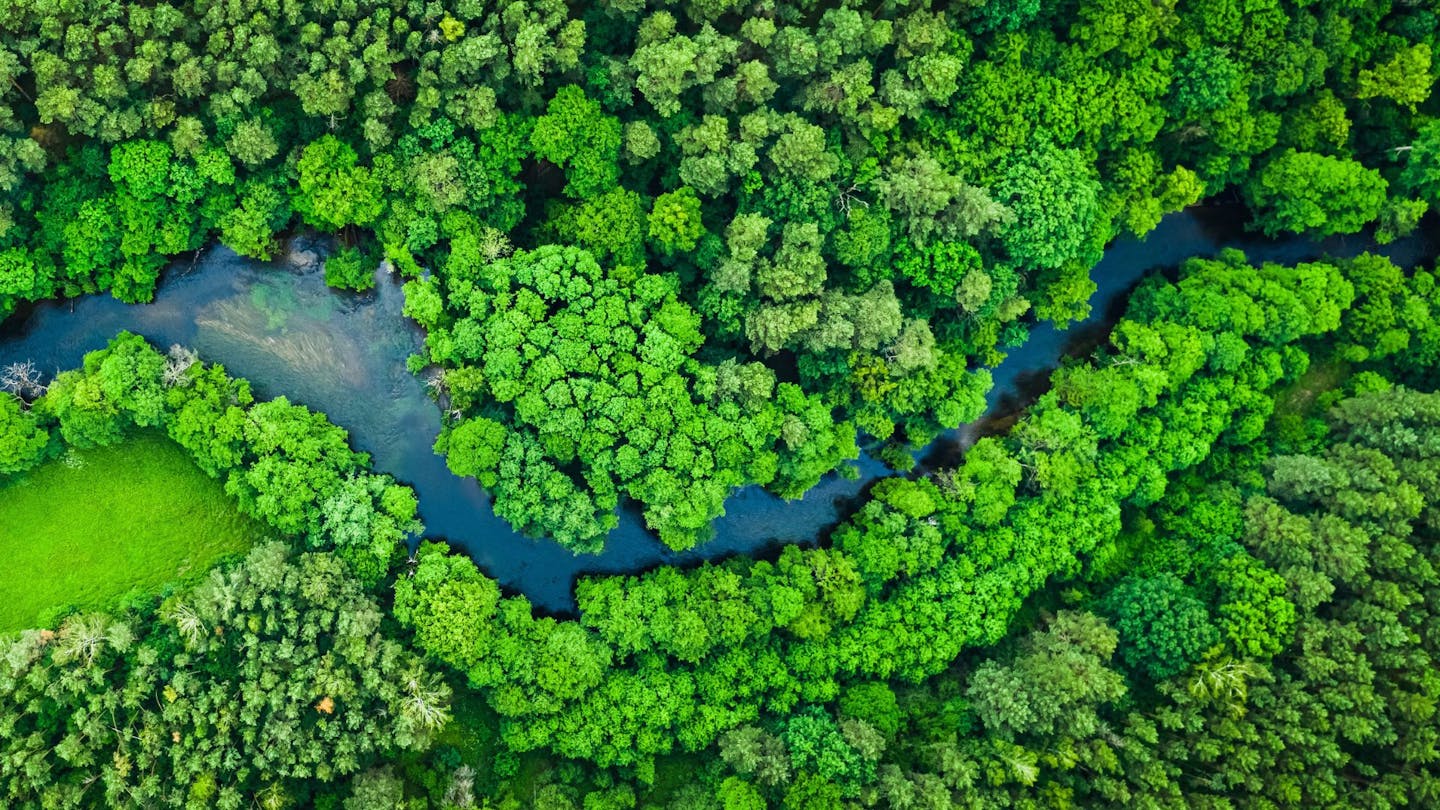 A Guide to Expanding Protected & Conserved Areas under the UN Global Biodiversity Framework